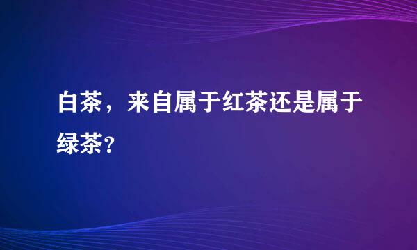 白茶，来自属于红茶还是属于绿茶？