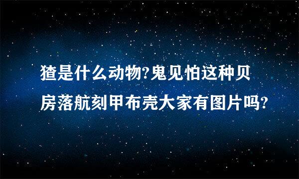 猹是什么动物?鬼见怕这种贝房落航刻甲布壳大家有图片吗?