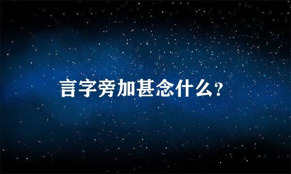 言字旁加甚念什么？