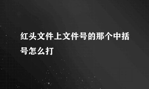 红头文件上文件号的那个中括号怎么打