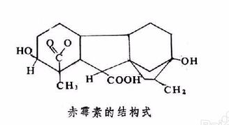 赤霉素920的使用方法