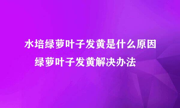 水培绿萝叶子发黄是什么原因 绿萝叶子发黄解决办法