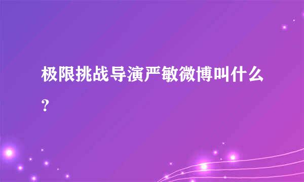 极限挑战导演严敏微博叫什么？