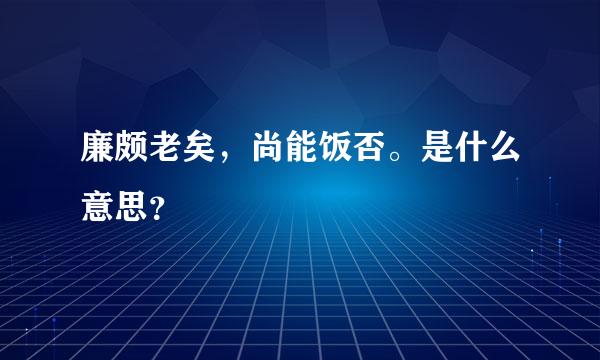 廉颇老矣，尚能饭否。是什么意思？