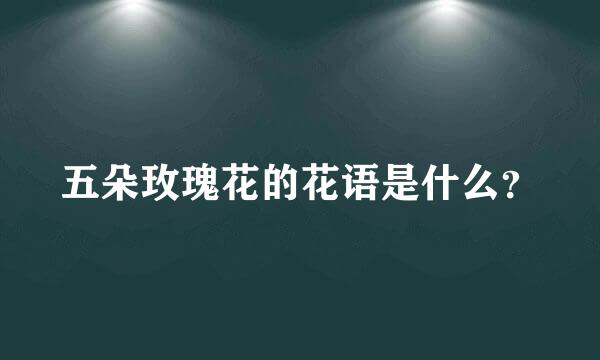 五朵玫瑰花的花语是什么？