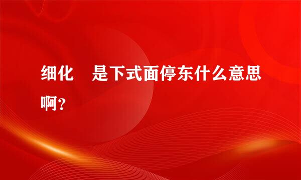 细化 是下式面停东什么意思啊？