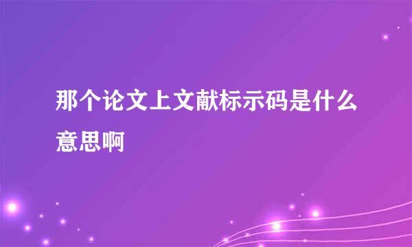 那个论文上文献标示码是什么意思啊