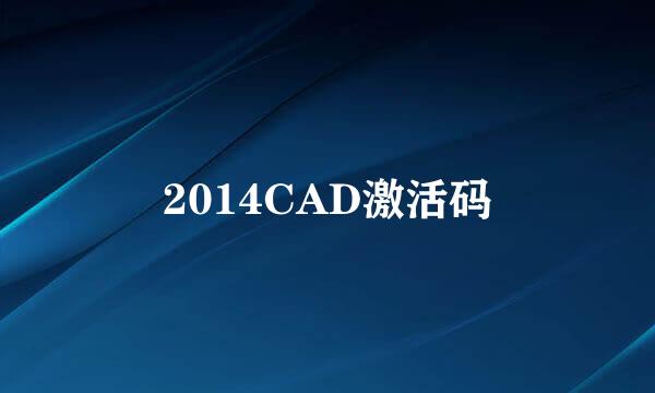 2014CAD激活码