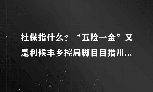 社保指什么？“五险一金”又是利候丰乡控局脚目目措川什么？？社保包含五险一金吗？