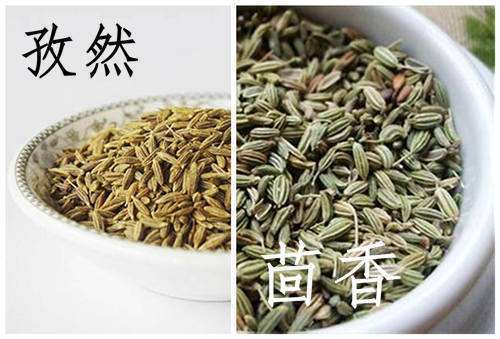 小茴香来自和孜然怎么区别？