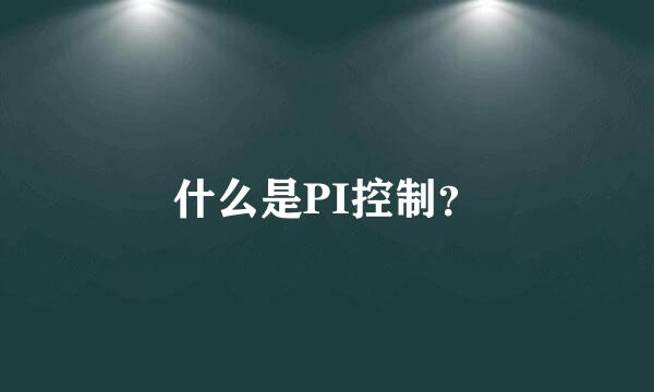 什么是PI控制？