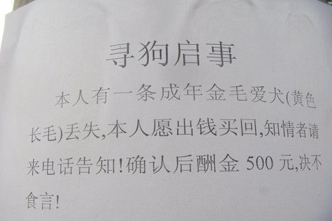 告示、通告来自、通知、启事、公告有什么区别？