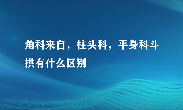 角科来自，柱头科，平身科斗拱有什么区别