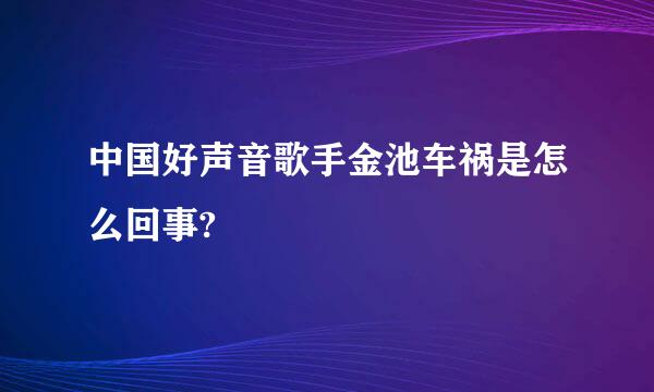 中国好声音歌手金池车祸是怎么回事?