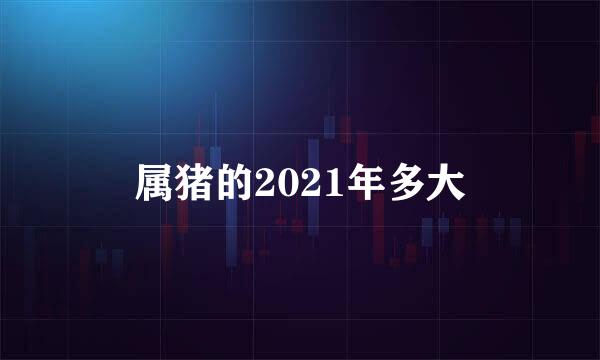 属猪的2021年多大