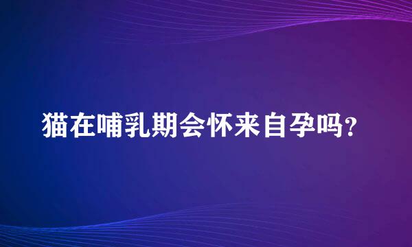 猫在哺乳期会怀来自孕吗？