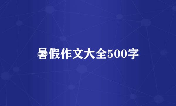 暑假作文大全500字