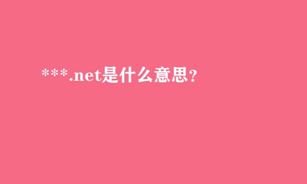 ***.net是什么意思？