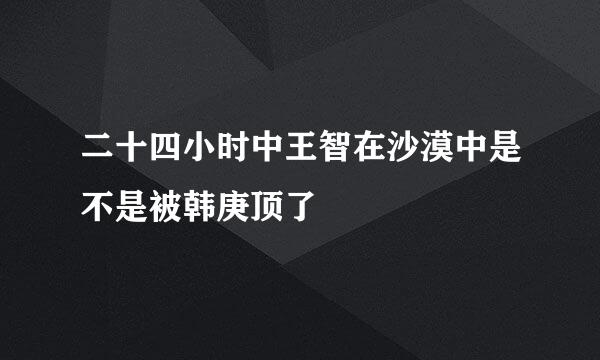 二十四小时中王智在沙漠中是不是被韩庚顶了