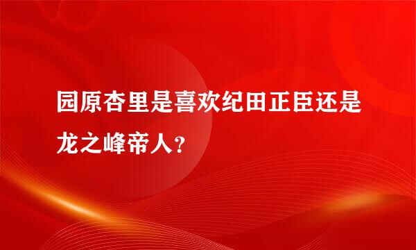 园原杏里是喜欢纪田正臣还是龙之峰帝人？