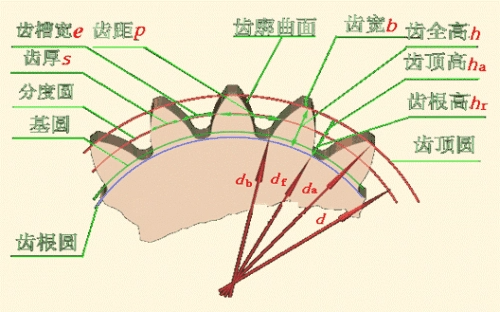 齿轮齿数的来自选择原则是什么?