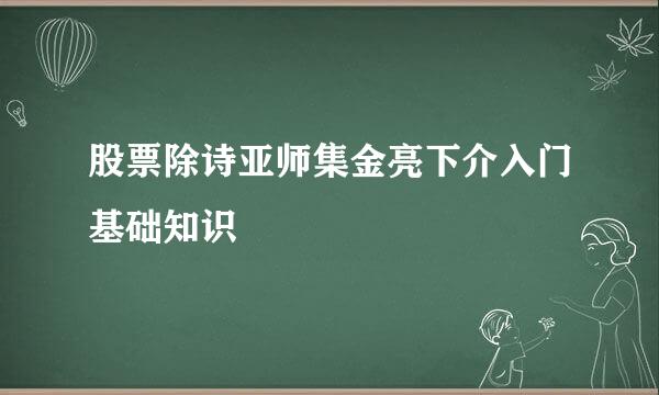 股票除诗亚师集金亮下介入门基础知识