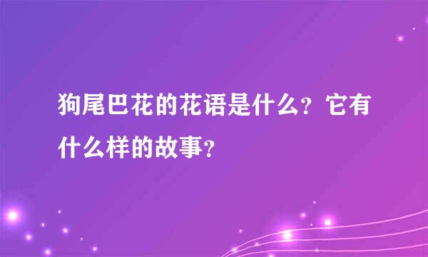 狗尾巴花的花语是什么？它有什么样的故事？