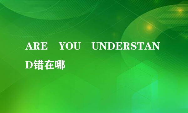 ARE YOU UNDERSTAND错在哪