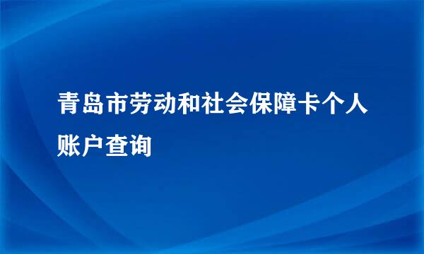 青岛市劳动和社会保障卡个人账户查询