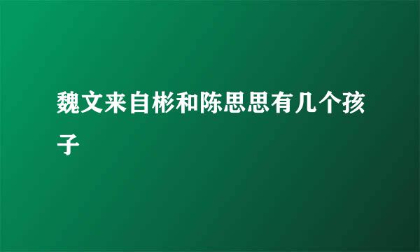 魏文来自彬和陈思思有几个孩子