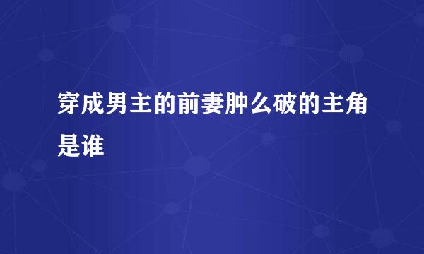 穿成男主的前妻肿么破的主角是谁