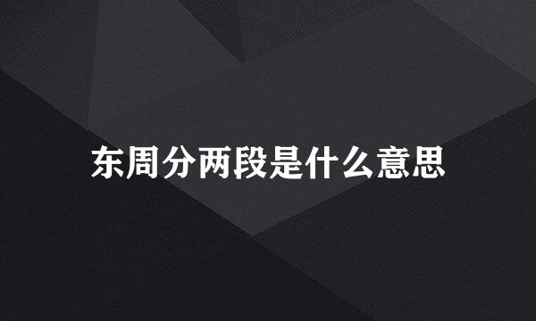 东周分两段是什么意思