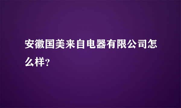 安徽国美来自电器有限公司怎么样？