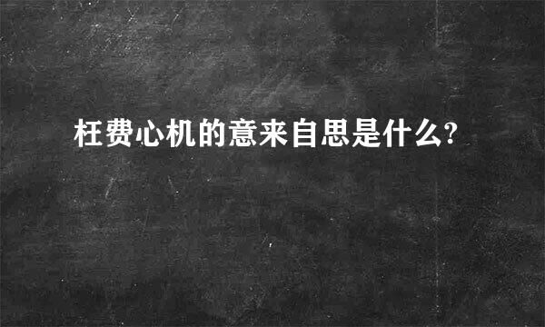 枉费心机的意来自思是什么?