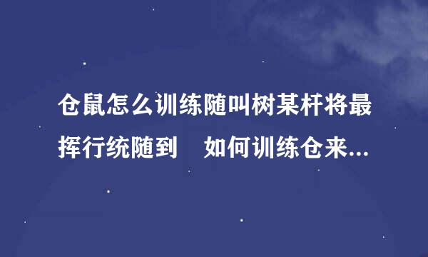 仓鼠怎么训练随叫树某杆将最挥行统随到 如何训练仓来自鼠上厕所