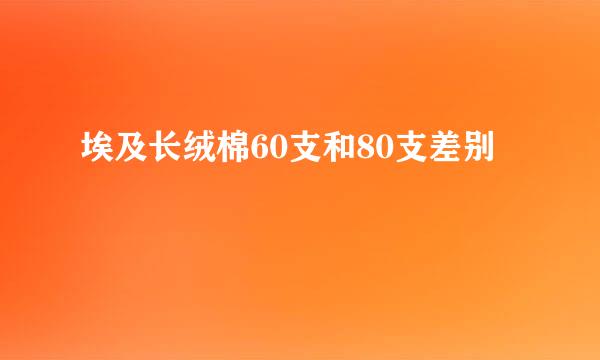 埃及长绒棉60支和80支差别