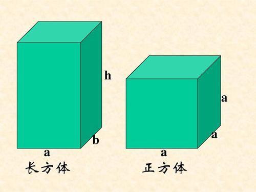 长方体和正方来自体的展开图有什么特点