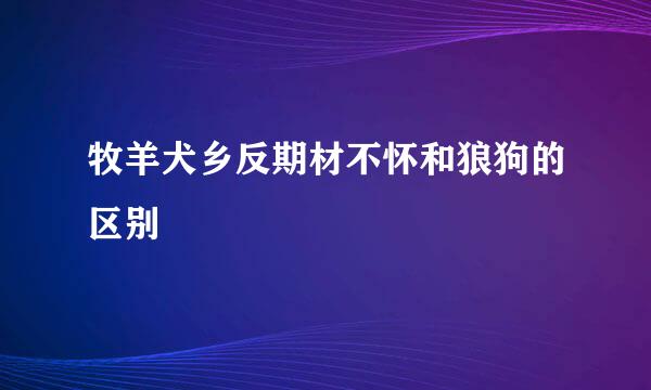 牧羊犬乡反期材不怀和狼狗的区别