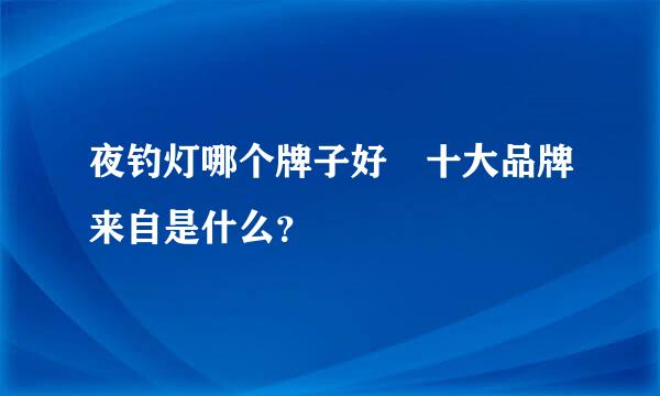 夜钓灯哪个牌子好 十大品牌来自是什么？