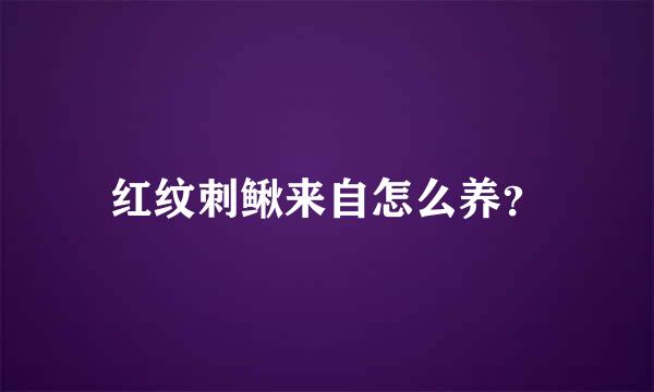 红纹刺鳅来自怎么养？