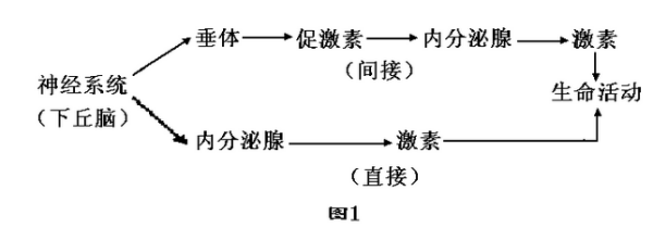 神经调节和体液调节的区别与联系？