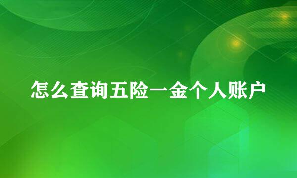 怎么查询五险一金个人账户