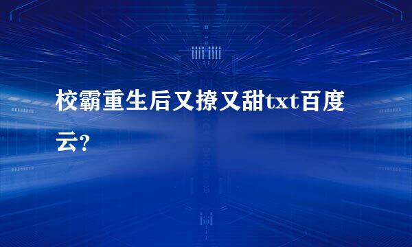 校霸重生后又撩又甜txt百度云？