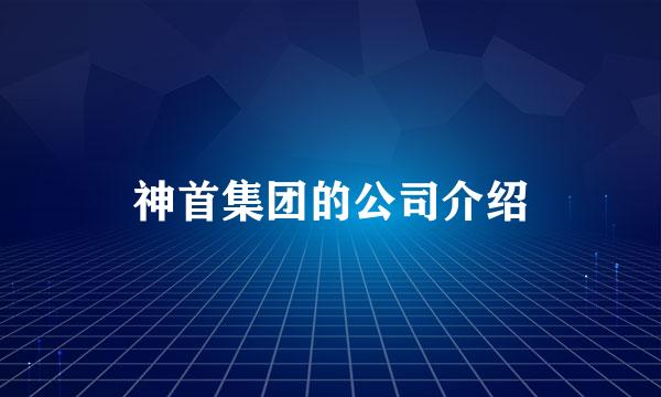 神首集团的公司介绍