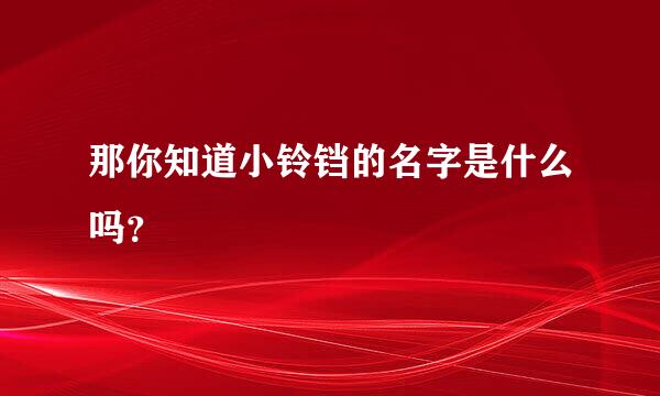 那你知道小铃铛的名字是什么吗？