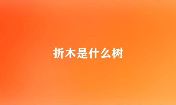 折木是什么树