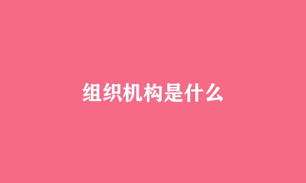 组织机构是什么