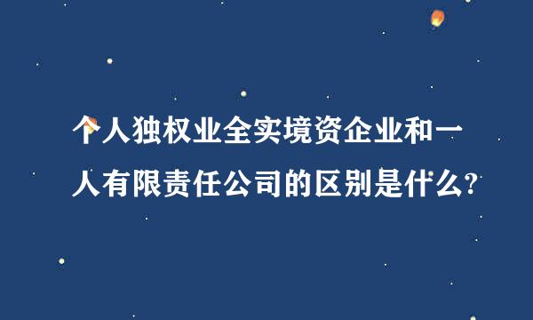 个人独权业全实境资企业和一人有限责任公司的区别是什么?