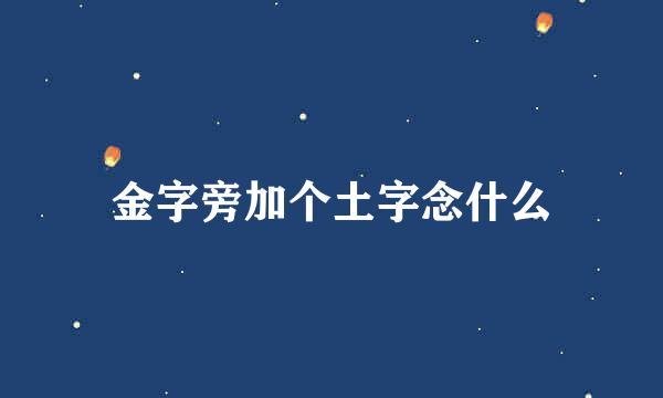 金字旁加个土字念什么