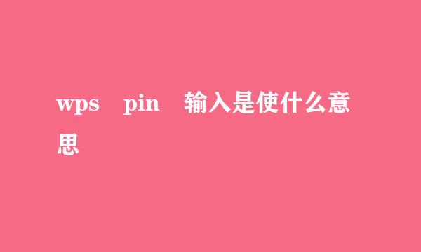 wps pin 输入是使什么意思